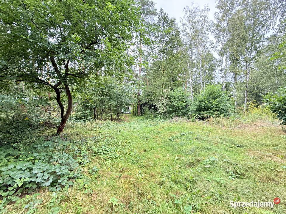 Działka budowlana w Rosanowie wz pozwolenie na Sprzedaż Rosanów sprzedam