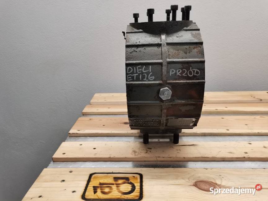 Dieci ET Obudowa ataku Pozostałe wielkopolskie Wilkowo