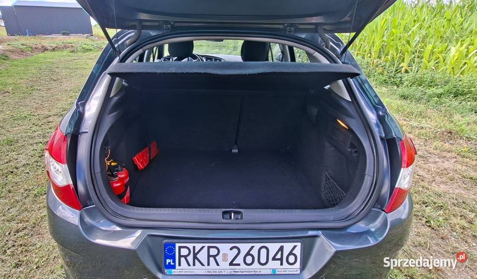 Sprzedam Citroen C4 303500km podkarpackie Sieniawa