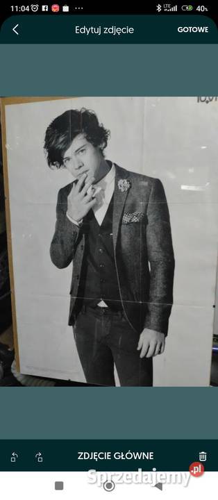 Plakat One Direction i Harry Warszawa