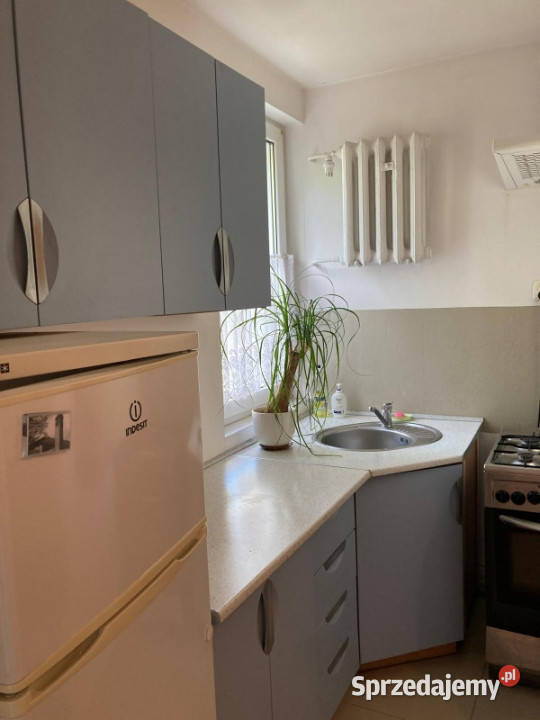 KAWALERKA na wynajem 285m2 ORUNIA  Turkusowa Gdańsk