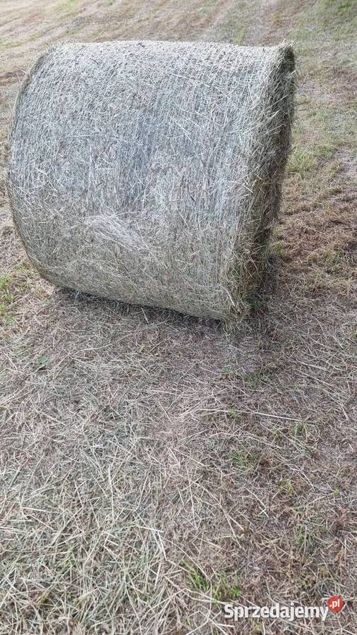 Siano rolka 120x120 Pradła