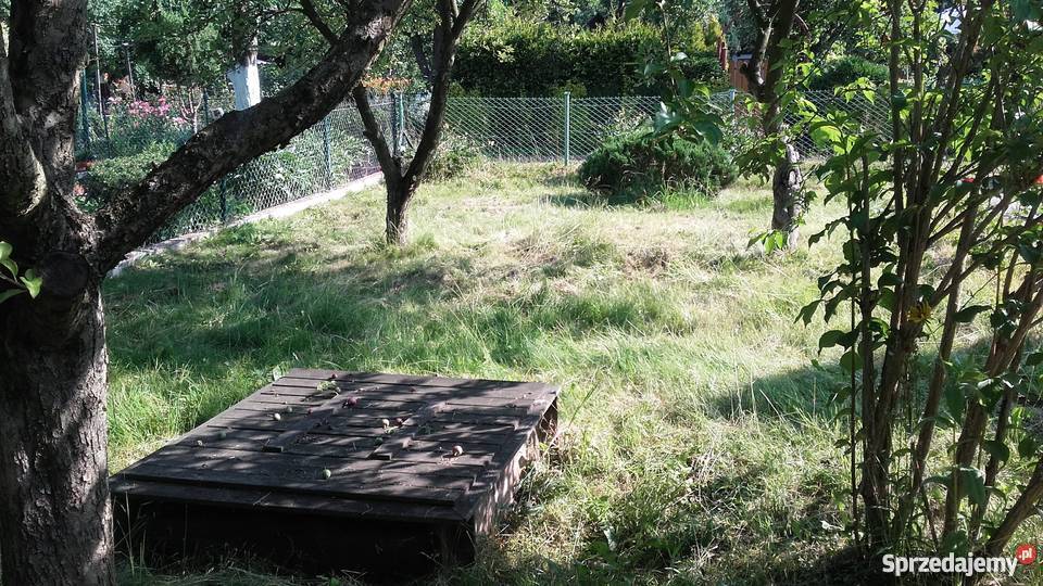 Ogród działkowy ROD ZACISZE ZABRZE OSIEDLE