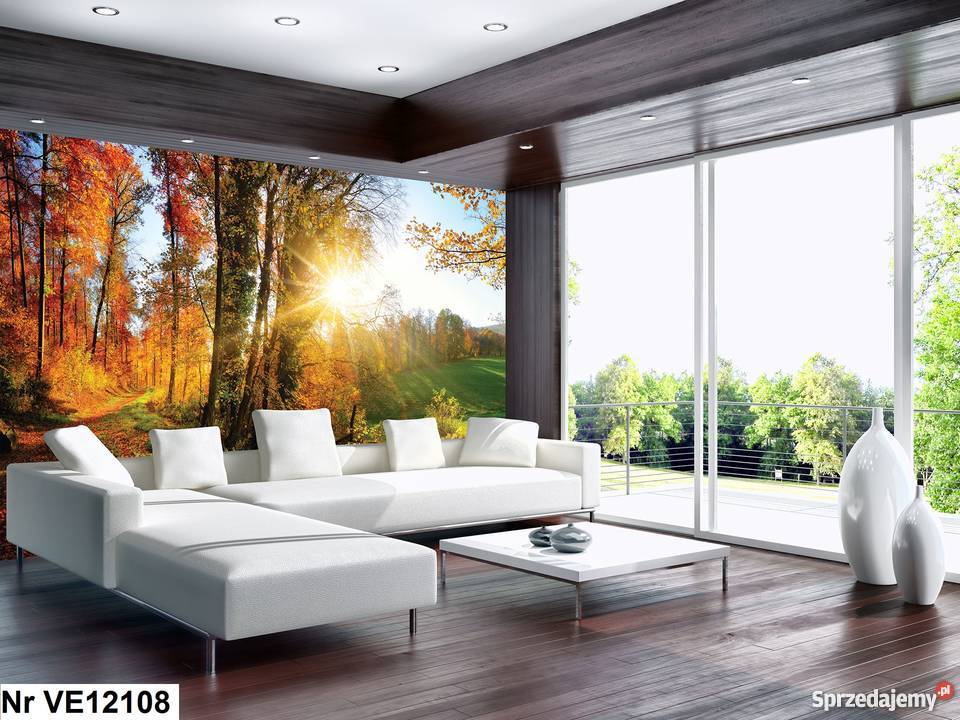 Tapeta fototapeta Piękny las liście wielkopolskie Leszno