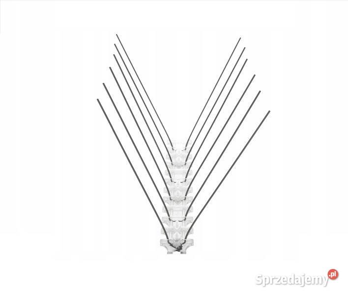 Nierdzewne kolce odstraszające ptaki gołębie śląskie Częstochowa