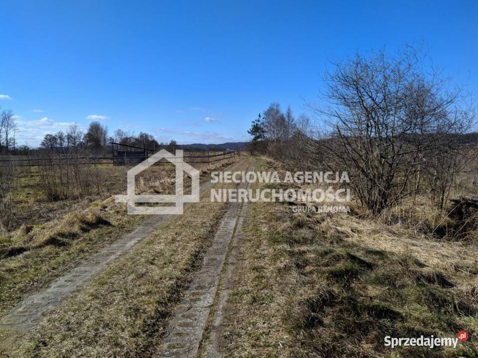 sprzedaży gruntu Błądzikowo 17400m2 rolna