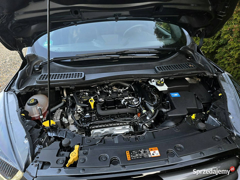 Ford Kuga serwis ASO ST Line Irej 2019 hak II śląskie