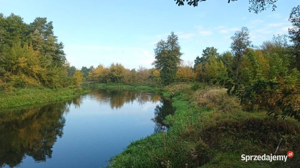 Sprzedam działkę 1080m2 z nowym domem 92m2 w Liczba pokoi 3 Popielżyn-Zawady