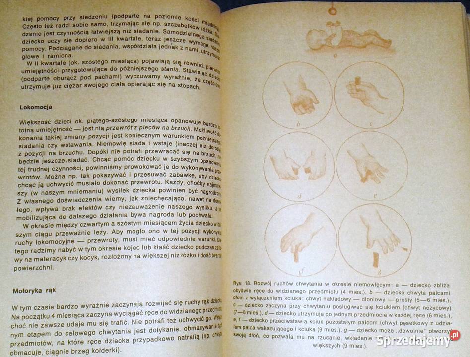 noworodka do przedszkolaka Maria Kamińska Chełm