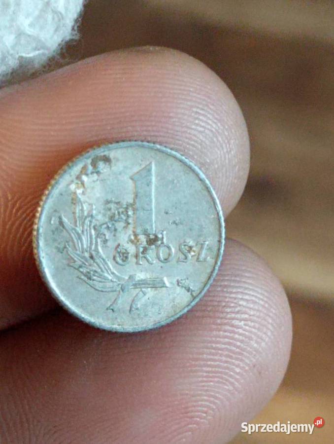Sprzedam piaty 1 grosz 1049 r bzm Chełm