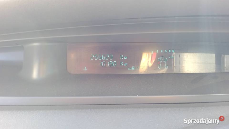 Renault Scenic podkarpackie