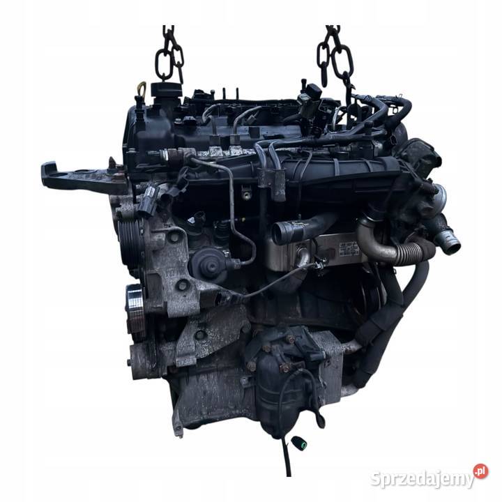 Silnik Kompletny D4HA MT 4x4 20 CRDi Hyundai Barłogi sprzedam