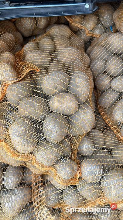 Sprzedam ziemniaki soraya worek bigbag świętokrzyskie Opatów
