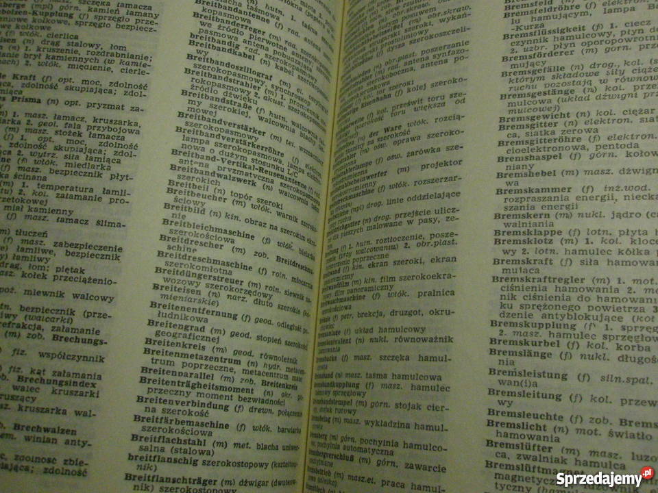 Słownik naukowotechniczny niemieckopolski