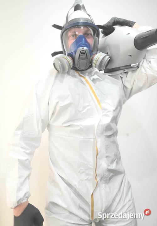 Pluskwa domowa zwalczanie pluskiew odpluskwianie Katowice