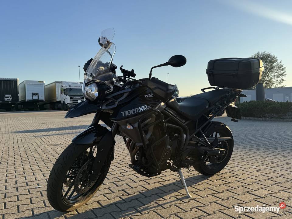 Triumph