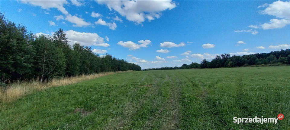 Działki w Cieszowie polna