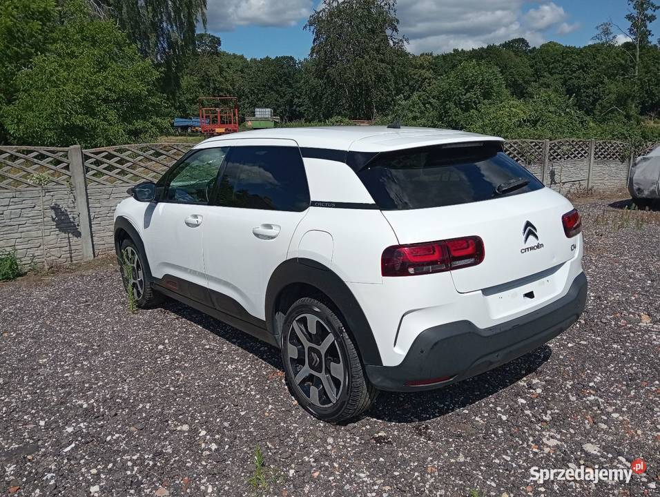 C4 cactus 12 automat automatyczna Margonin