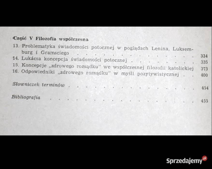 Krzywe zwierciadło filozofii czyli dzieje Chełm