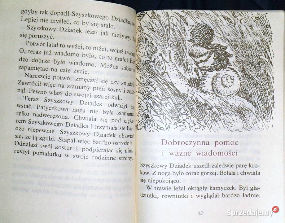 Wędrówki Szyszkowego Dziadka Maria Kędziorzyna Chełm