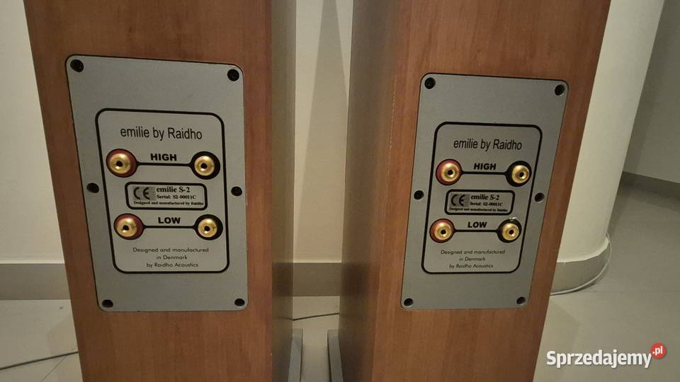 Kolumny podłogowe Raidho Emilies2 Lublin sprzedam