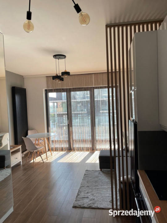 Pierwsza Dzielnica Katowice Studio Flat Liczba pokoi 1