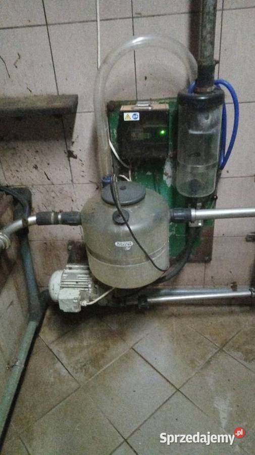 Dojarka Westfalia z hali udojowej Grajewo