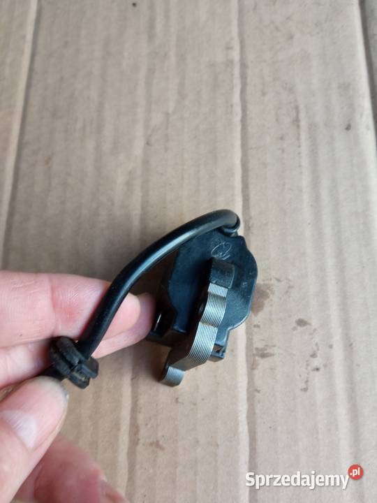 Cewka piła spalinowa podkarpackie Stalowa Wola