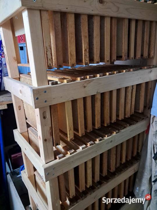 Susz Pszczeli regal i skrzynia Żnin