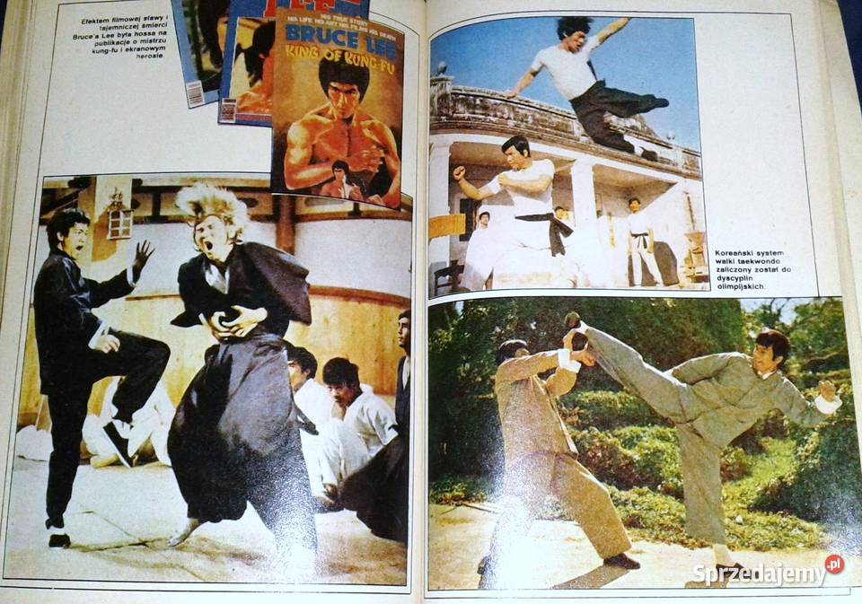 Tajemnice Kung Fu Marian Butrym Wisława Orlińska Chełm