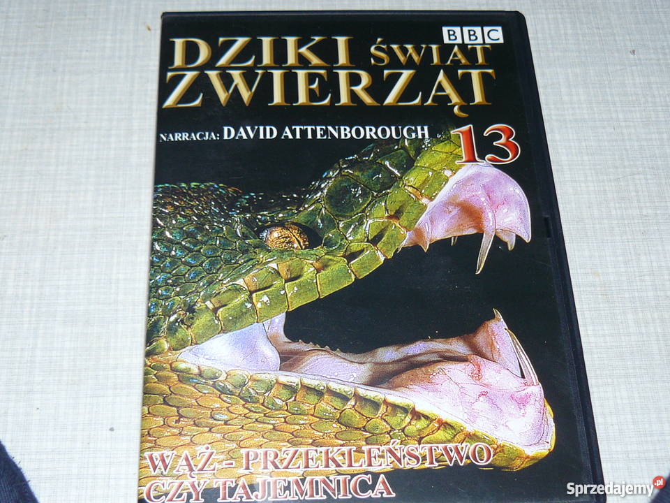 Płyty DvD świat zwierząt na jesienne wieczory Nowa Sól