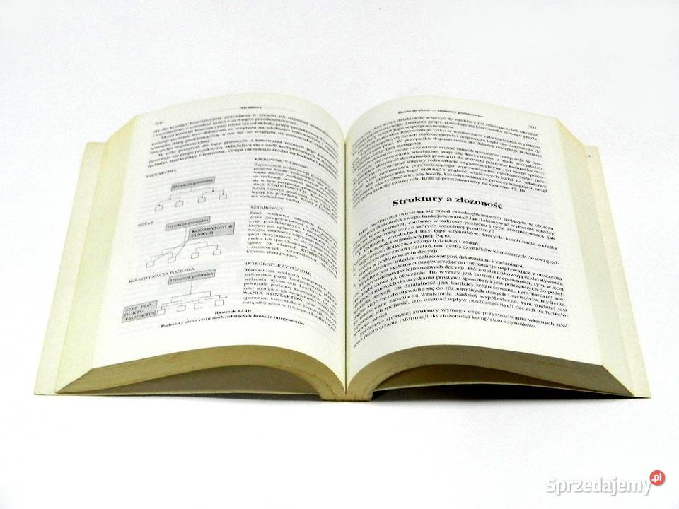 Zarządzanie firmą Strategie struktury decyzje Załom