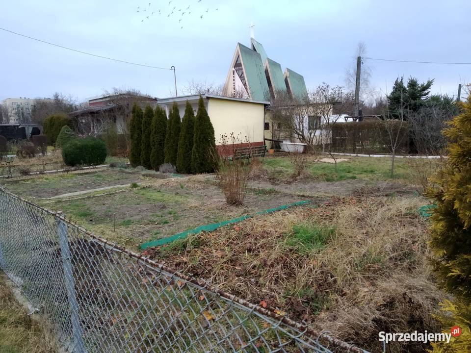 DZIAŁKA ROD TYSIĄCLECIE CZĘSTOCHOWA Częstochowa