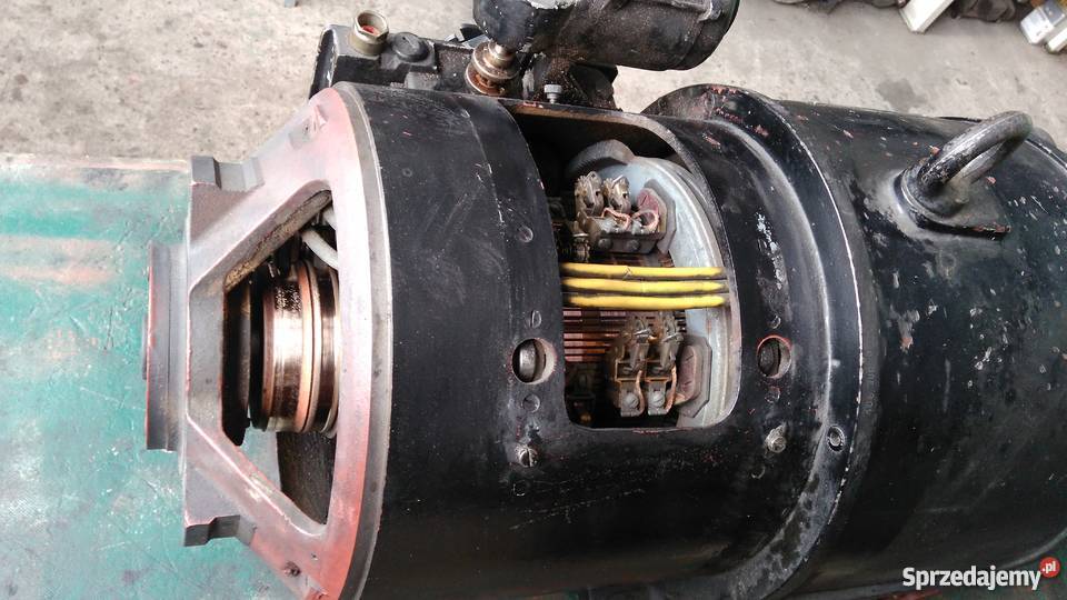 Silnik elektryczny Richter płynna regulacja świętokrzyskie