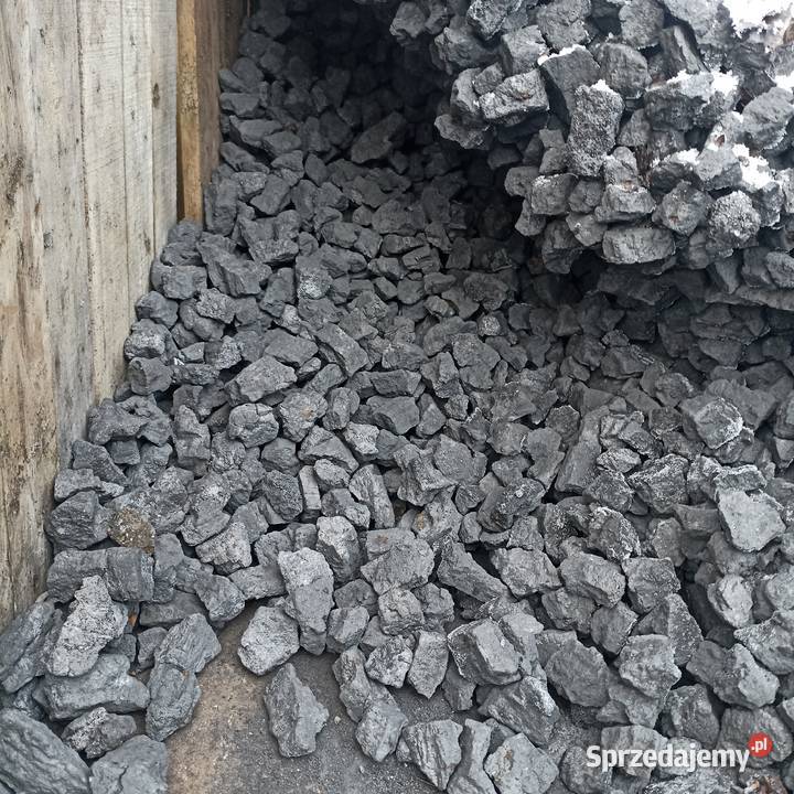 Koks orzech II luzem workowany Ustowo