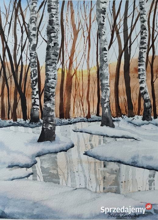 Akwarela Akwarelka Obraz pt Czar Brzóz Opole