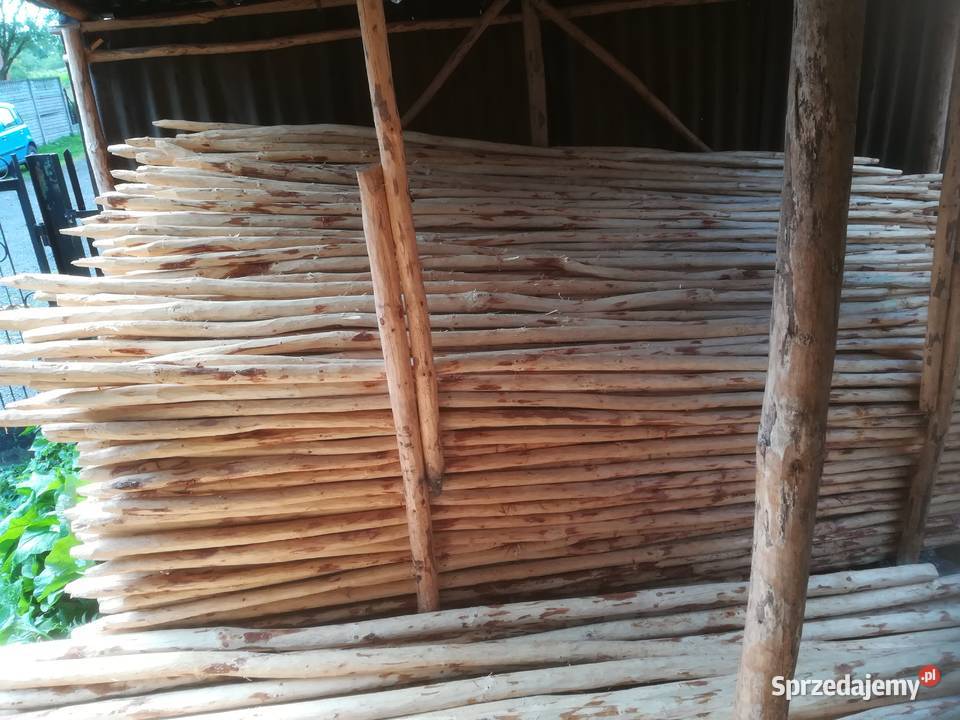Palik tyczki do drzewekmalin i na ogrodzenie łódzkie Skierniewice