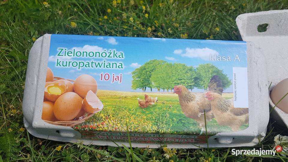 Wytłaczanki etykieta Zielononóżka Opakowania na Czaple