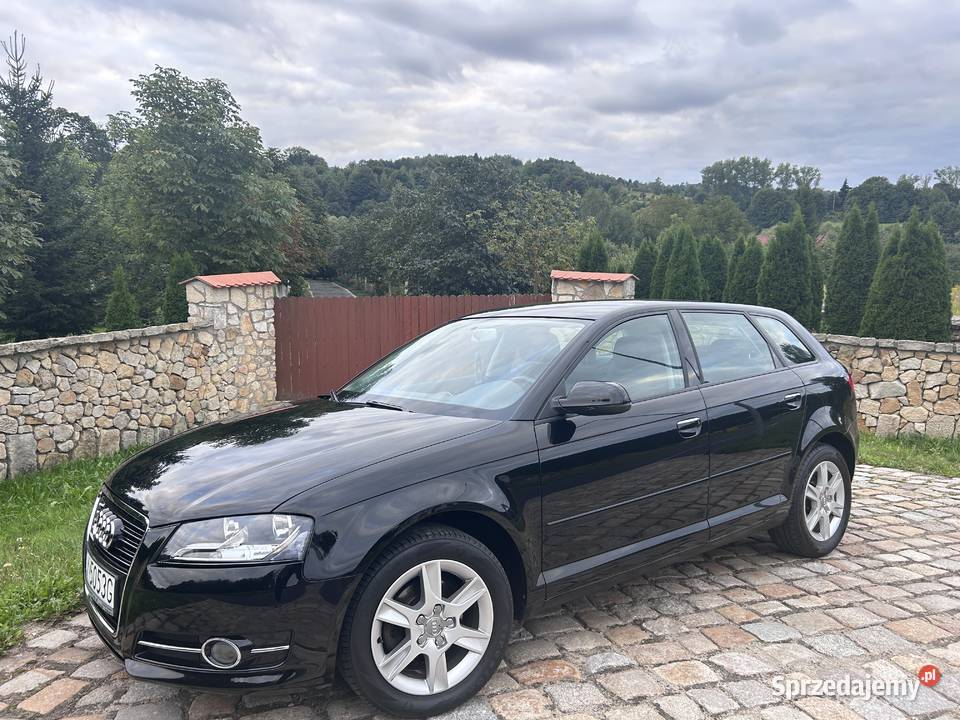 Audi A3 16Mpi 2010r LED DRL Klimatron Serwis TOP Wrocław