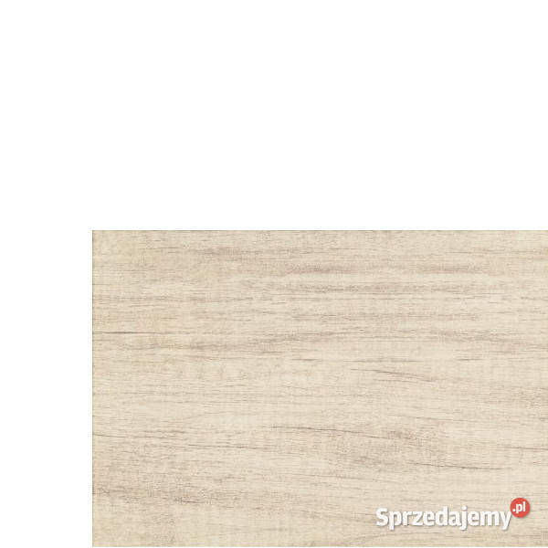 Płytka Pinia beż 25 x 36 Domino Tubądzin płytki Płytki ścienne Białogard sprzedam