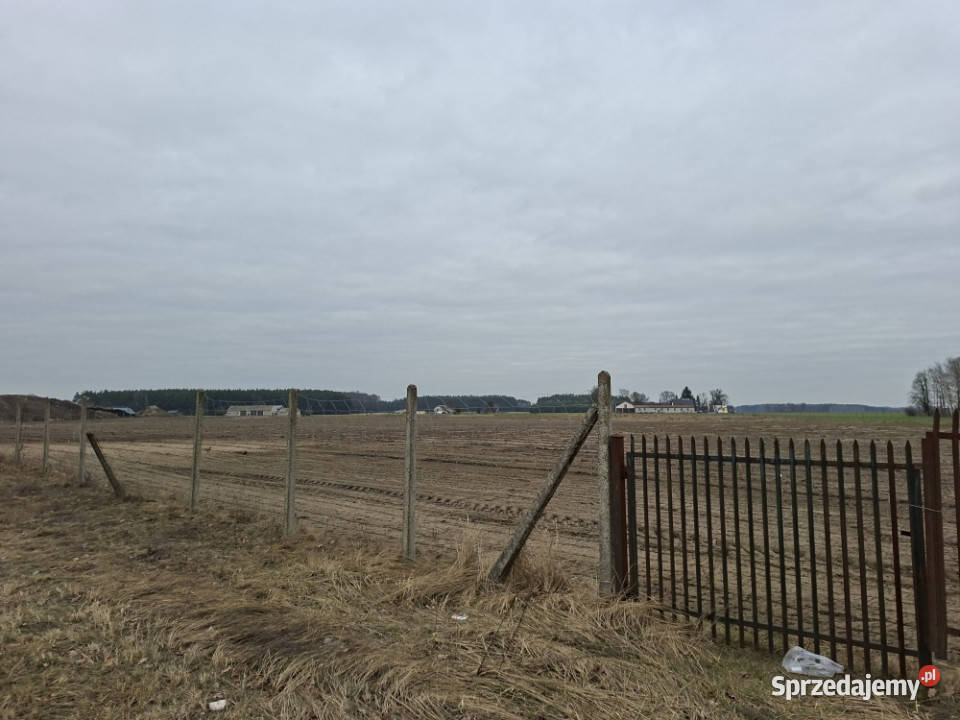 Syndyk sprzeda udział 38 w prawie własności Nuna