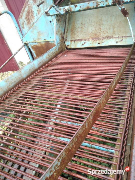 Wyorywacz sadzonek truskawek Anna kopaczka Mała Wieś