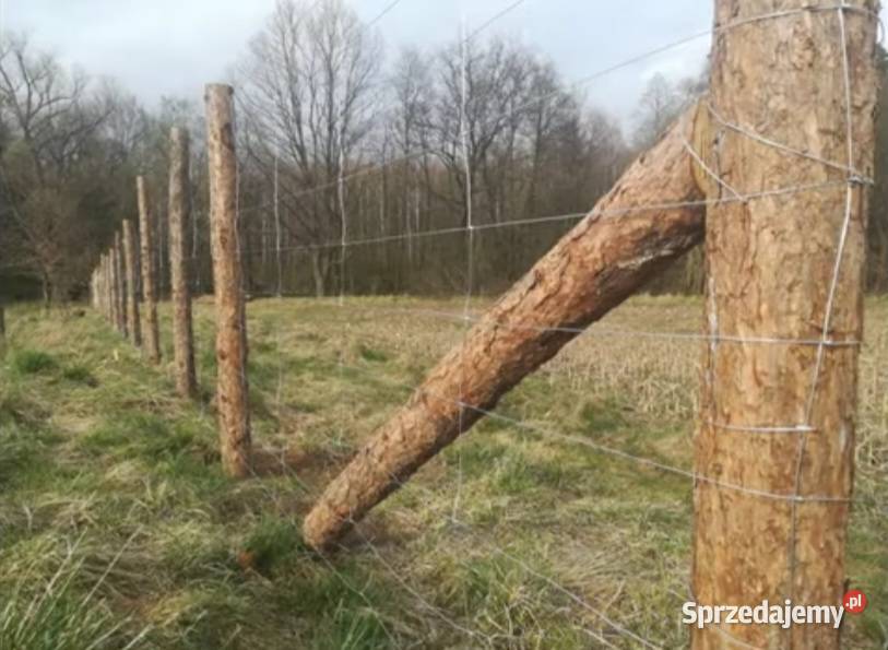 SIATKA ogrodzeniowa LEŚNA 1801360 L rolka 50 m Ogrodzenia i bramy śląskie Częstochowa