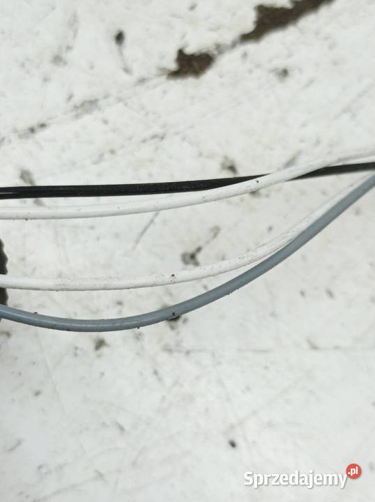 SONDA LAMBDA 03F906262C 03F906262B 12 B 103 Seat osobowe Części samochodowe