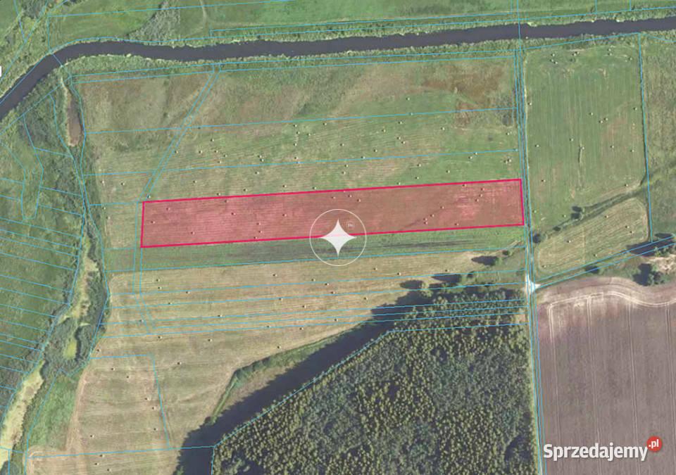 Łąka Horbów Kolonia gm Zalesie pow bialski rolna lubelskie