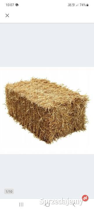 Słoma w kkstkach owsiana i przeniczna Kraków