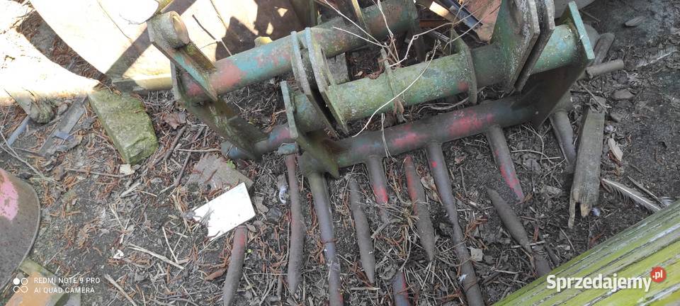 Koparka Białoruśka cyklop ładowacz Rząśnia