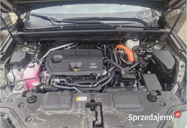 Lexus NX 350h Omotenashi AWD Salon Polska 2025R 243KM Olsztyn sprzedam