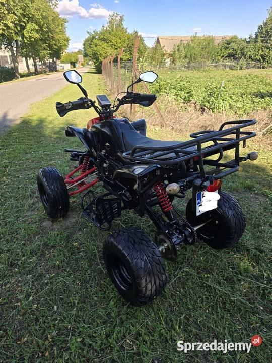 Quad Shenke Bashan 150200cc Automat Kat B nieuszkodzony Kruszwica