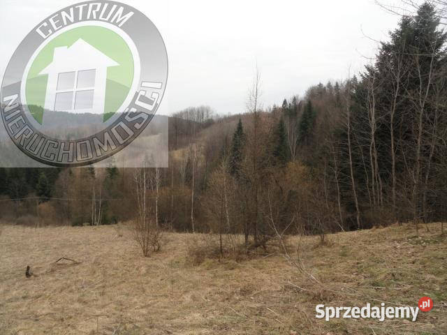 Działka na sprzedaż Ochotnica Dolna 10000m sprzedam